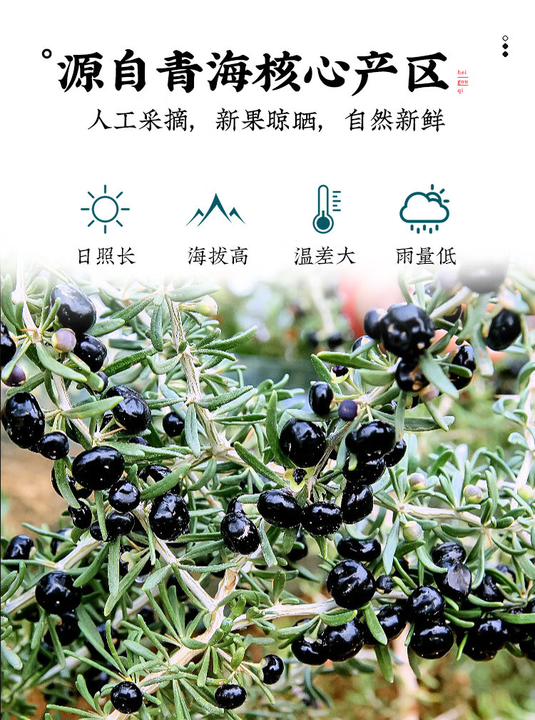 Black Goji Berries 500g Hei Gou Qi Premium Dried Fruit for Tea and Infusions key features