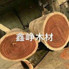 �M��ԭľ���Kľ������ ԭľľ�� �ӹ�������֦�t�����Z�аͰ��