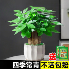 l2025lؔСԻܾGֲk҃ˮ辰B