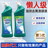 Toilet cleaner (green bottle)