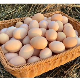 月饼;传统糕点;软糖