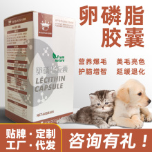 宠物卵磷脂狗狗猫咪专用犬猫通用保健品卵磷脂软胶囊工厂批发