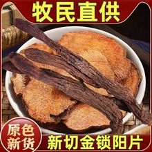 内蒙古沙漠人参锁阳整根中药材批发 鲜切金锁阳片 肉苁蓉泡酒料