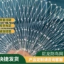 果园农田透明尼龙防鸟网
