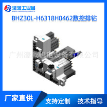 BHZ30L-H6318H0462钻包11+9垂直/4水平/2锯片/定金 价格面议
