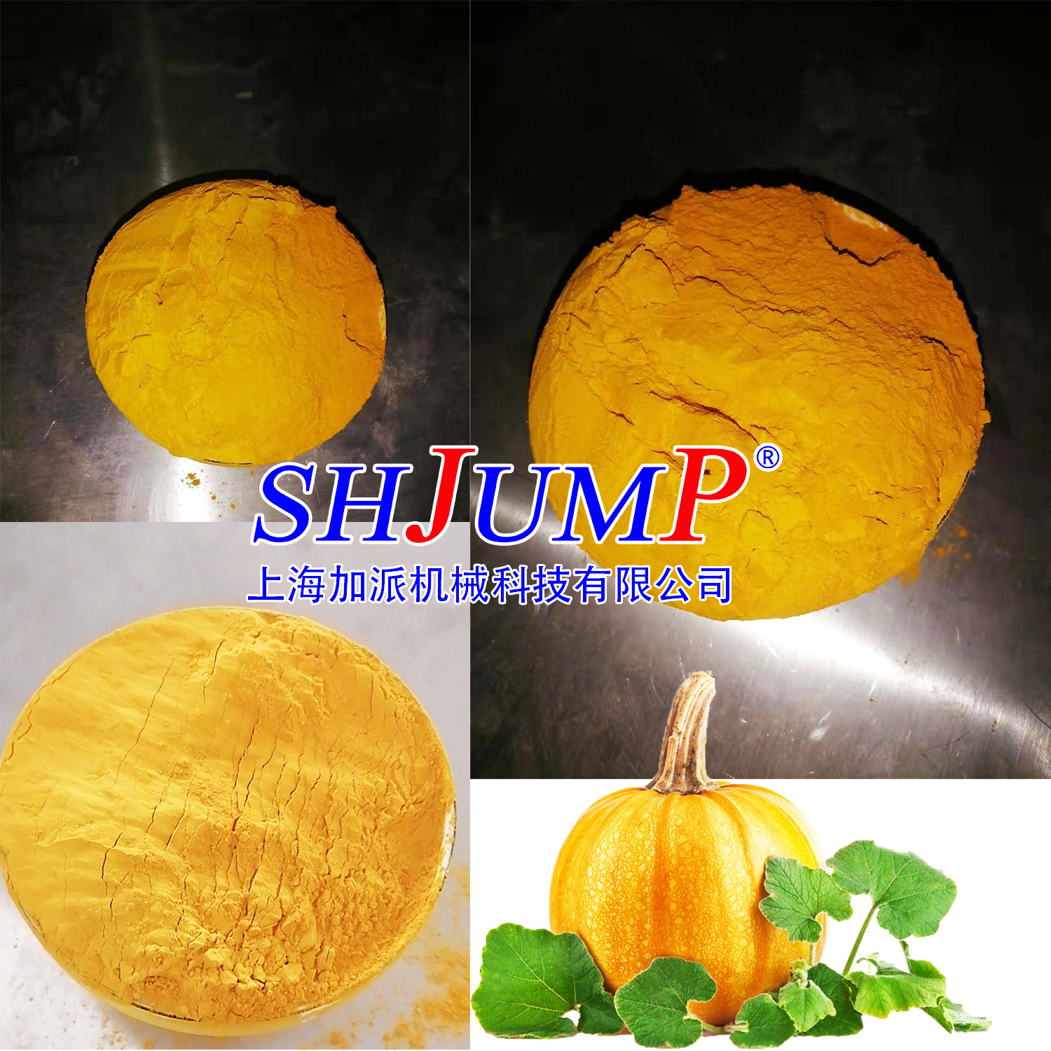 南瓜粉加工生產線