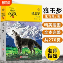 狼王梦正版包邮沈石溪动物小说江少年儿童出版社三四五六年级小学