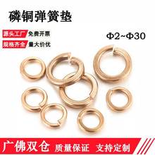 �_�����~���|�����~�|Ƭ�����~�|Ȧ�ݽz�|Ƭ�S��M3/M4/M5/M6