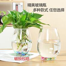 水培植物玻璃瓶绿萝花瓶花盆玻璃圆球水养鱼缸器皿容器送栏速卖通