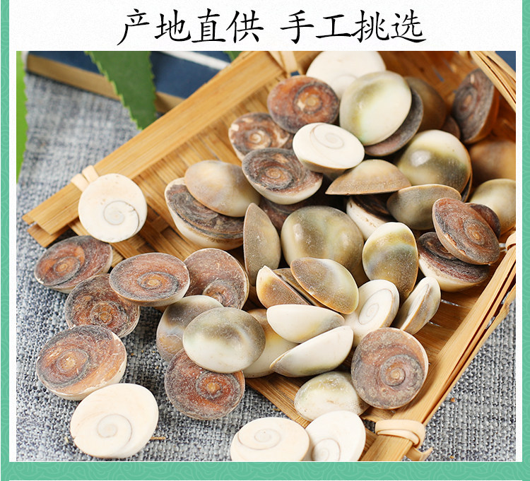 Jia Xiang Sea Snail Operculum 甲香 Dried TCM Herb 500g Traditional Incense and Decoction Material specifications
