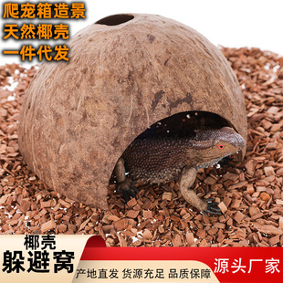 Coconut Shell Hideaway Nest for Reptiles, Terrarium Decoration for Bearded Dragons, Lizards, Snakes, Turtles, Hamsters, Hermit Crabs, Climbing Hideaway Nest Wholesale
