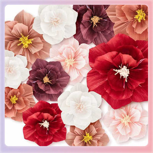 ?�鷿�b��y�����w�ް�������ˇ���Y���Ɍ������ʎ�������