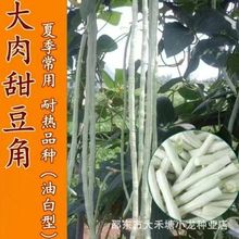 Ŵ𶹽ǰ׶ǿ߮aͰļL߲˷NӴȫ