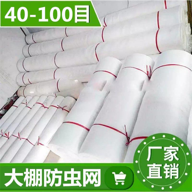纱网防虫网养殖场网罩果园大棚防护网商用花卉白色菜网养猪场防虫