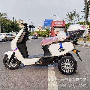 600W T3-9 electric tricycle for middle-aged and elderly adults, fat-tire mobility scooter, cross-border export