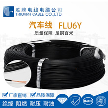 勝牌 德標FLU6Y單芯汽車線耐高溫FEP汽車電氣設備連接線
