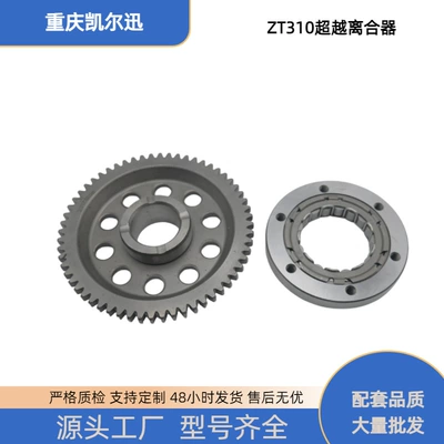 Motorcycle Overrunning Clutch Assembly Suitable for Zontes Zt310-V Rxt Zt250-S/R Starter Plate Body (Motorcycle engine and accessories)