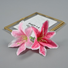 ���ưٺϷ���ٺϲ廨ñ��������d���h������Y܇����Ԯ���@