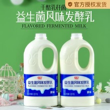 光明益生菌大桶酸奶1.25kg*2桶风味发酵乳原味桶装酸奶网红奶