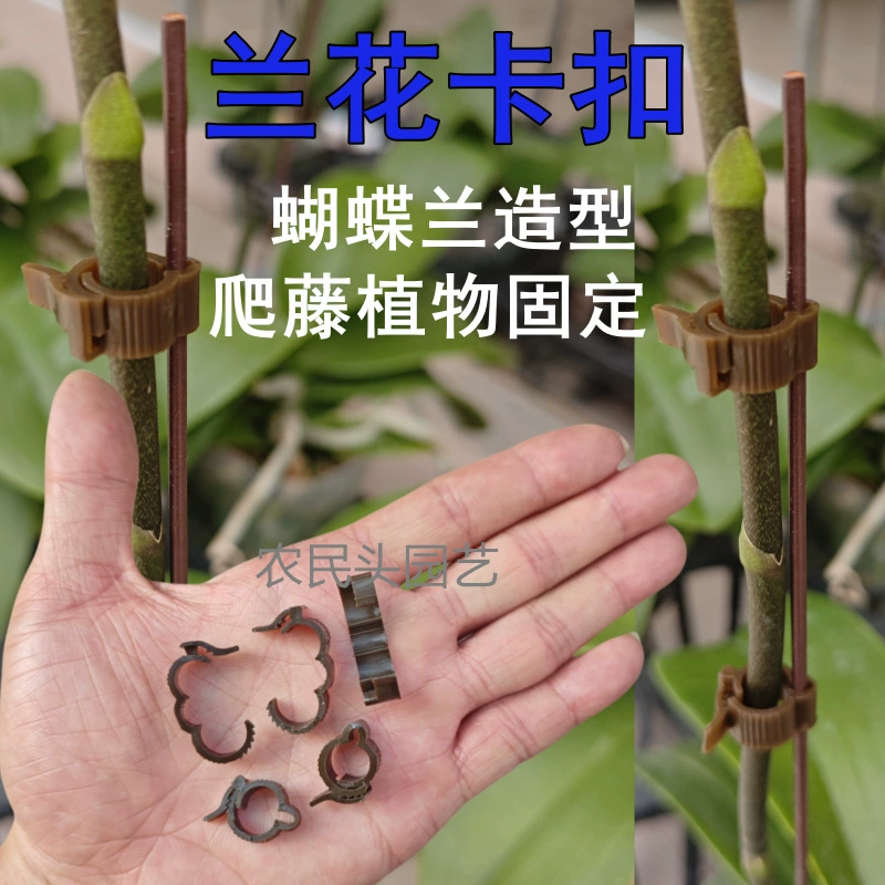 Новая модель бабочки орхидеи застежка садоводство зажим анти-ползает лоза растение фиксированный зажим опорный стержень фиксированной формы