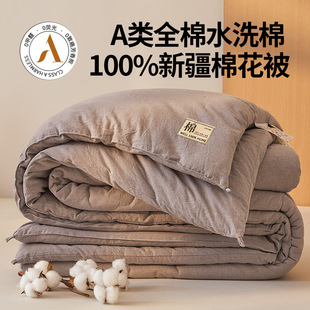 Class a All-Cotton Quilt, 100% Xinjiang Cotton Core, Spring and Autumn Washed Cotton Bedding, Thickened Cotton Quilt Pad