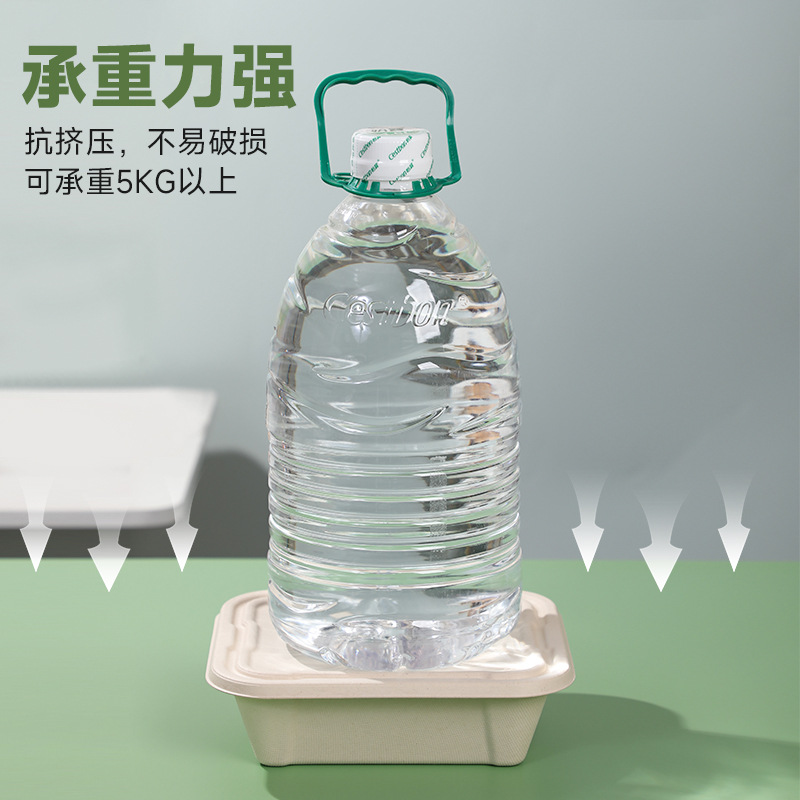 bandeja de comedor desechable sopa de ensalada degradable sopa de frutas de barbacoa ecológica tazón de sopa de barbacoa espesa bento