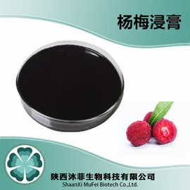 杨梅提取液 浸膏98% 另有杨梅提取物 杨梅果粉 冻干粉