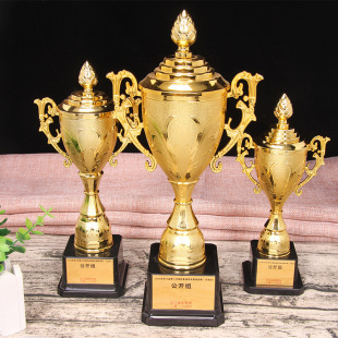 Children's Plastic Trophy Electroplated Golden Morning Glory Plastic Trophy Kindergarten Training Competition Trophy Factory Wholesale