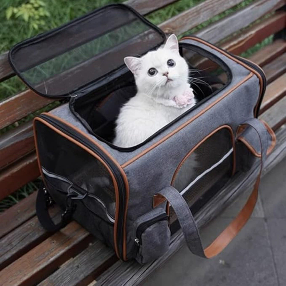 Взрывная дышащая сумка для домашних животных плюшевый медвежонок выходит на улицу рюкзак для домашних животных