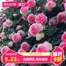 ���l�Nޱ�����ٱ��¼��ش󻨘�ͥԺ����ֲ���̨����õ������