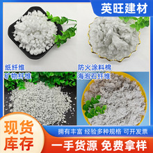 �����X�w�S�����V��T�ޱ��ظ�������T��	����ʯ������