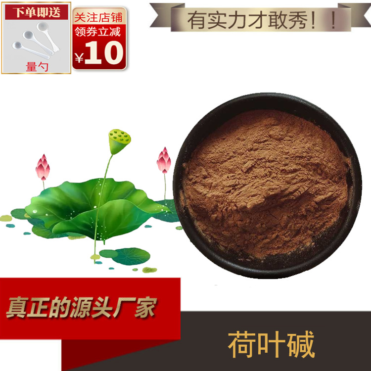 荷叶碱4%荷叶提取物 水溶 荷叶原料粉 厂家直供 现货供应