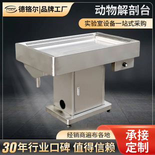 Lift-Type Stainless Steel Multi-Functional Exhaust Animal Anatomy Table Laboratory Equipment Large Pet Beauty Operating Table