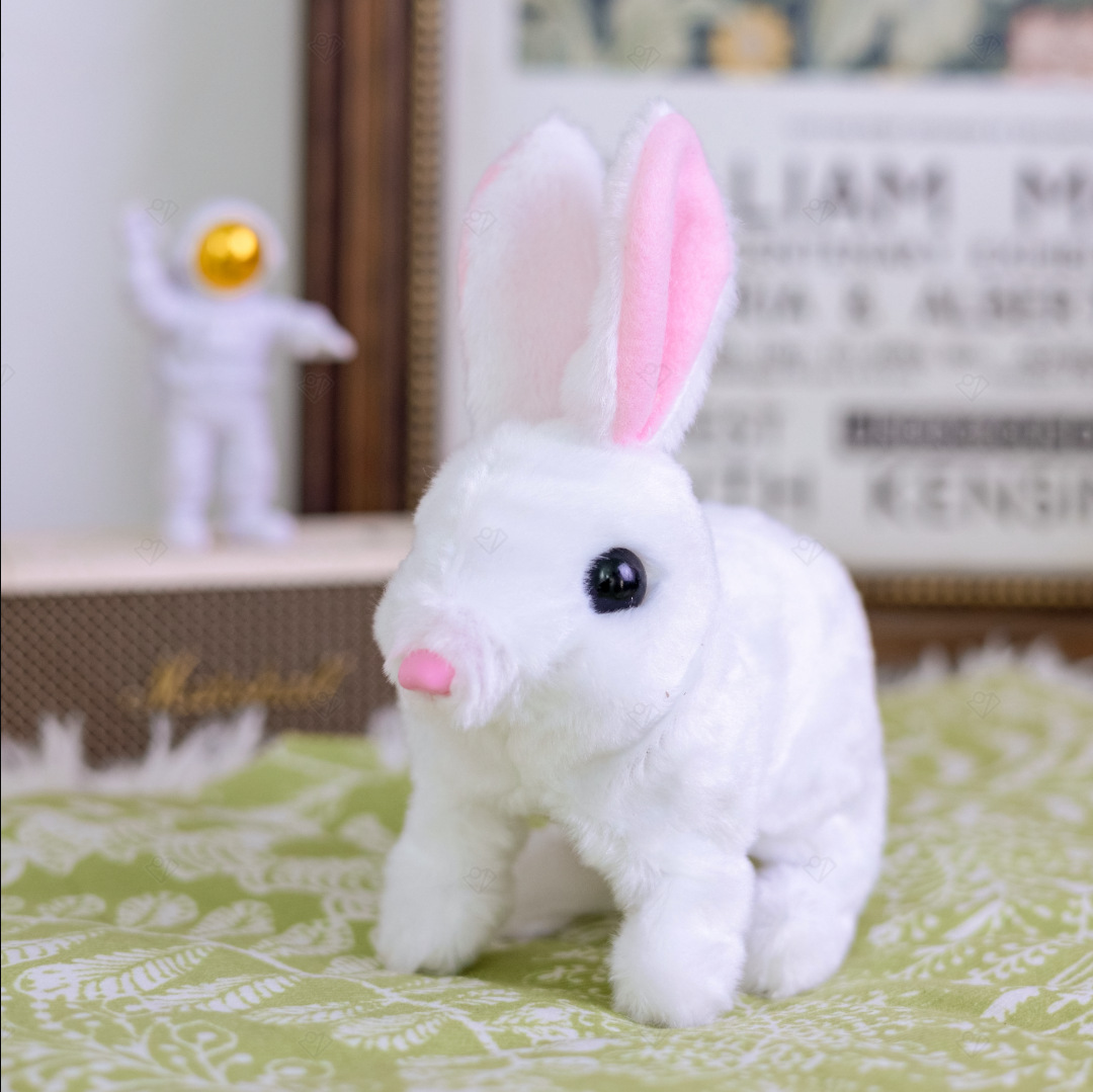 White rabbit