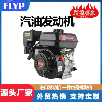 Gasoline Engine 170F190F Small Internal Combustion Four-Stroke Micro Tillage High-Power Sprayer 192F Engine
