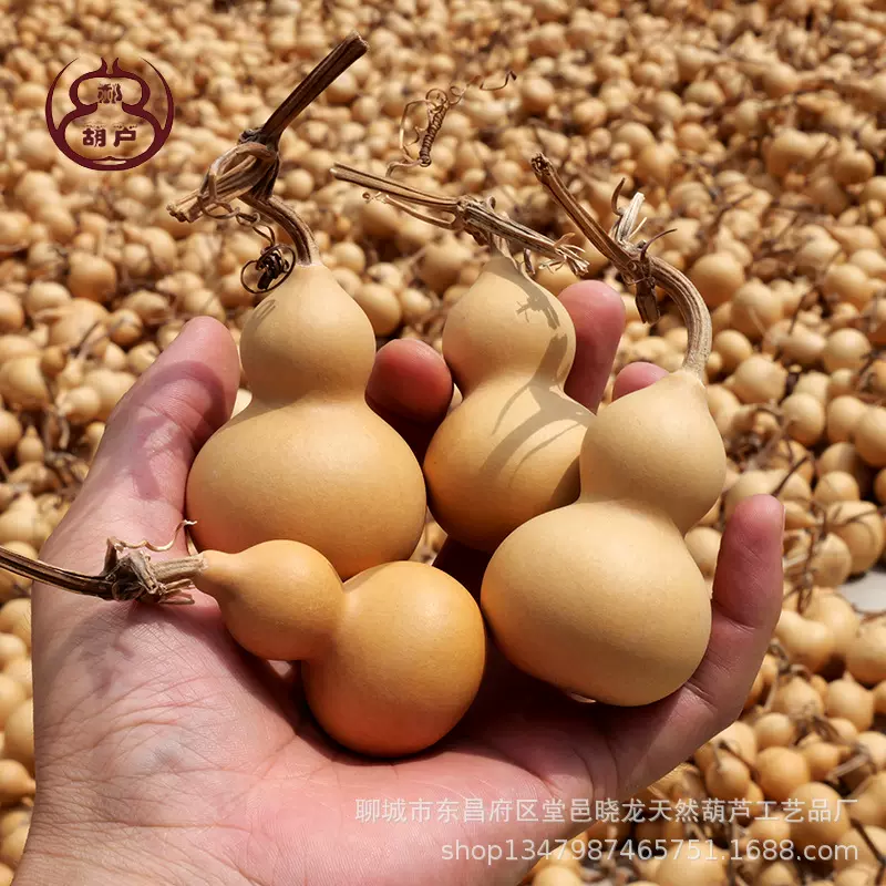 2025新货葫芦文玩天然通货摆件手把件把玩小葫芦手捻葫芦厂家批发