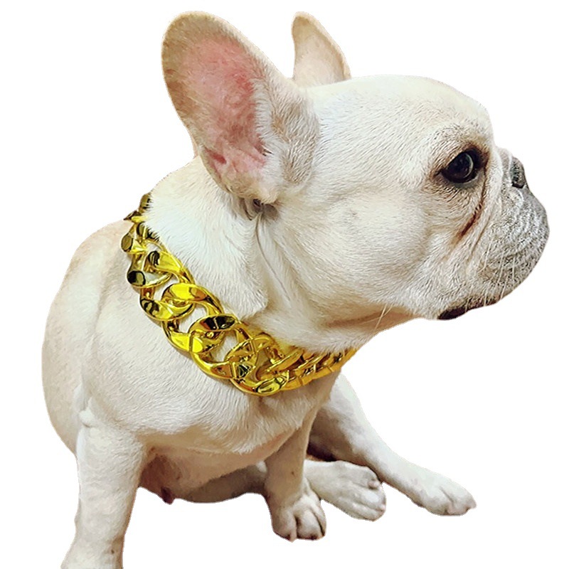 Collar de mascotas de gran tamaño, perros, collares de oro, collares de plástico, matones de pelo dorado, peleas de labrador