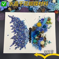 バレンタインドライフラワー水晶材料バッグ手作りドライ花石画紫蝶フォトフレームカッププレゼントdiy緑