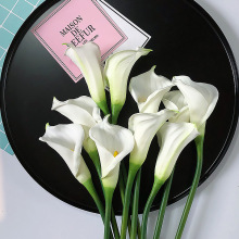 ߙnɫRɏ滨ٻ͏d[cˇbƷ廨