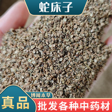 �ߴ��� ��ș���ߴ��Ӵ�ĥ����Ұ����Ұ���}���������������l���l