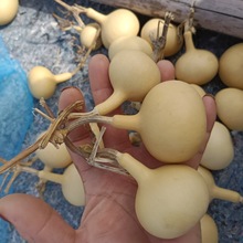 �����������J���������������^���цζ�