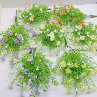 ����С�r��СҰ�ղ廨��ݱ��W�Ҿ��b���@�ٻ��zӰ���ߝM����