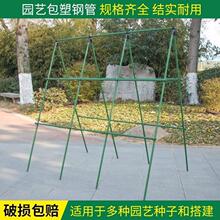 ���ټܻ��ܶ��Ǽ��S�ϼ��ӷN�˼�ͥԺֲ�������ܑ���@ˇ���ѼܗU