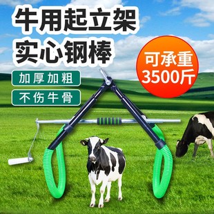 ţ����������ţ����ţĸţ�o��վ��ţ�õ��ܠ������Ӵ֠�ţ�̶���