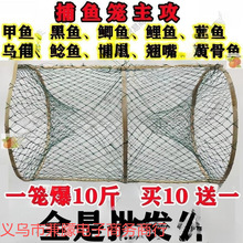 ���~�\���@�a�~�W�\���~�\���~�\���O�W�Ԅ��ۯBץ�~���߻��{�~�\