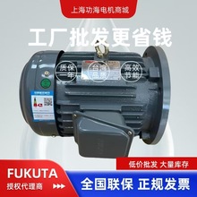 原装正品 台湾富田马达  FUKUTA富田电机 AEVF AEVH  三相电动机