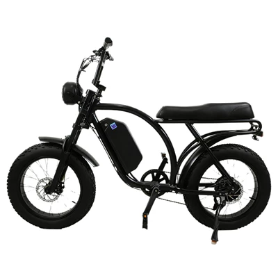 Electric Motorcycle, Elektrikli motosikletlər