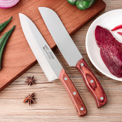 Stainless steel Western chef's knife slicing knife meat cleaver Japanese cuisine knife fish sushi sashimi knife universal kitchen knife