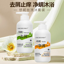 整箱批发氨基酸去屑止痒洗发水沐浴露套装悠妮丝硫磺净螨正品代发