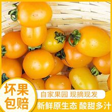 ����С����3/5���}Ů���Sɫ�r��С���t�����r��Ȼ�쮔���ЋDˮ��